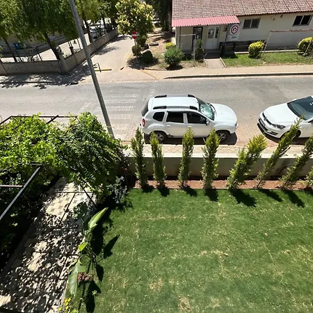 Alas Garden 페티예